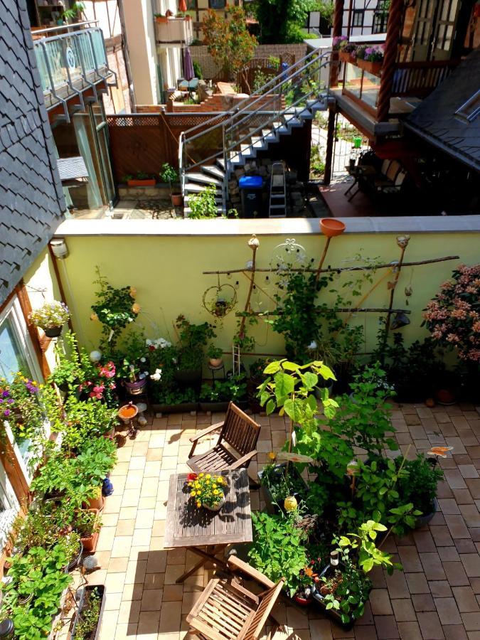 Ferienwohnung Goldstr.7 Кведлинбург Екстериор снимка