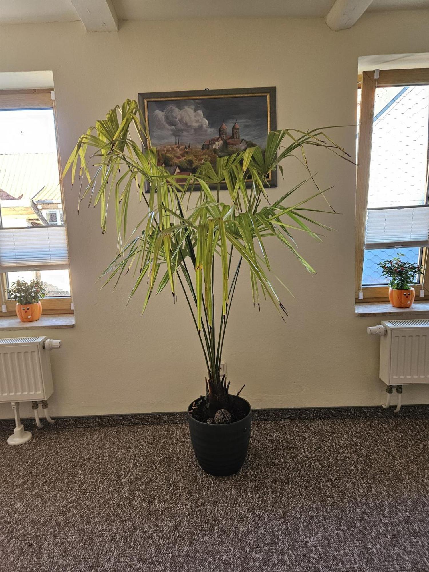 Ferienwohnung Goldstr.7 Кведлинбург Екстериор снимка